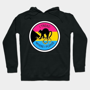 I Tread Where I Please - Demi Pansexual Hoodie